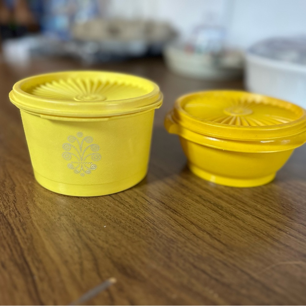 Tupperware mini canister and bowl set
